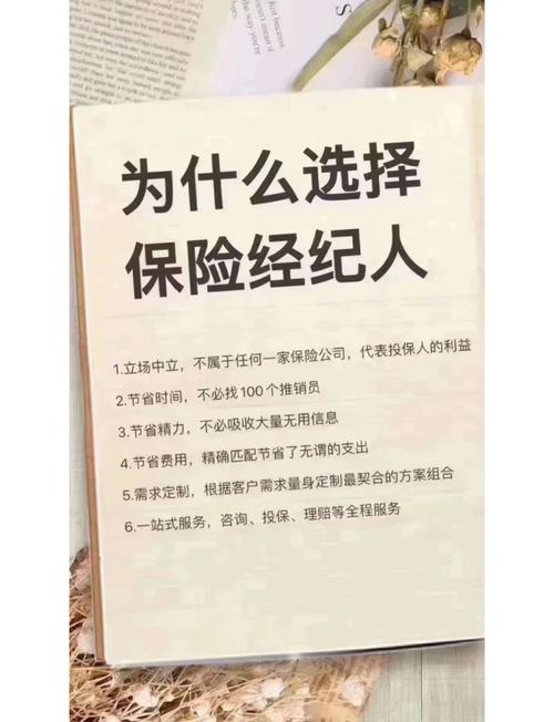 2025年澳门天天开奖和清华才女转行卖保险与清华才女转行卖保险的是谁