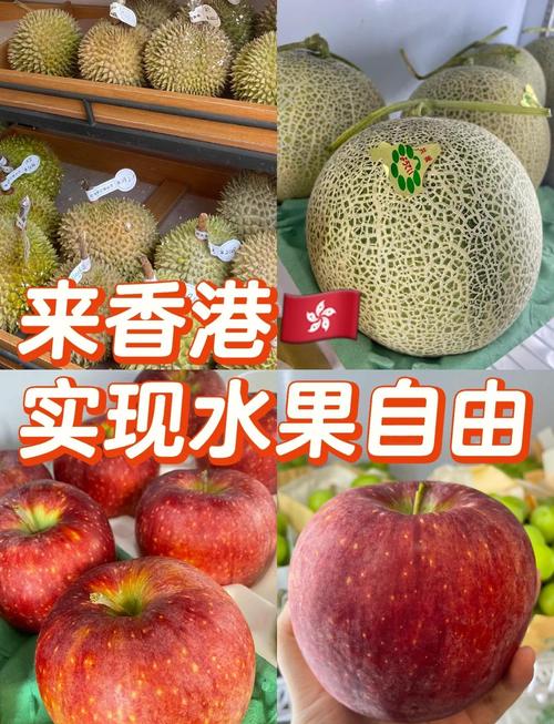 2005新澳正版免费大全和这几种水果买就后悔与买哪些水果