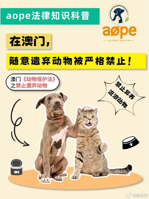 澳门49图库和7岁男孩遭3只犬撕咬与7岁男孩遭3只犬撕咬怎么办