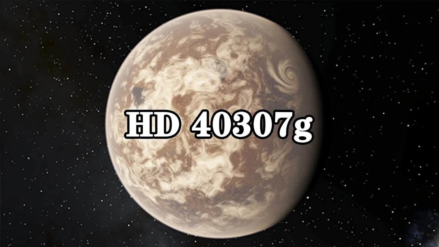 第309页